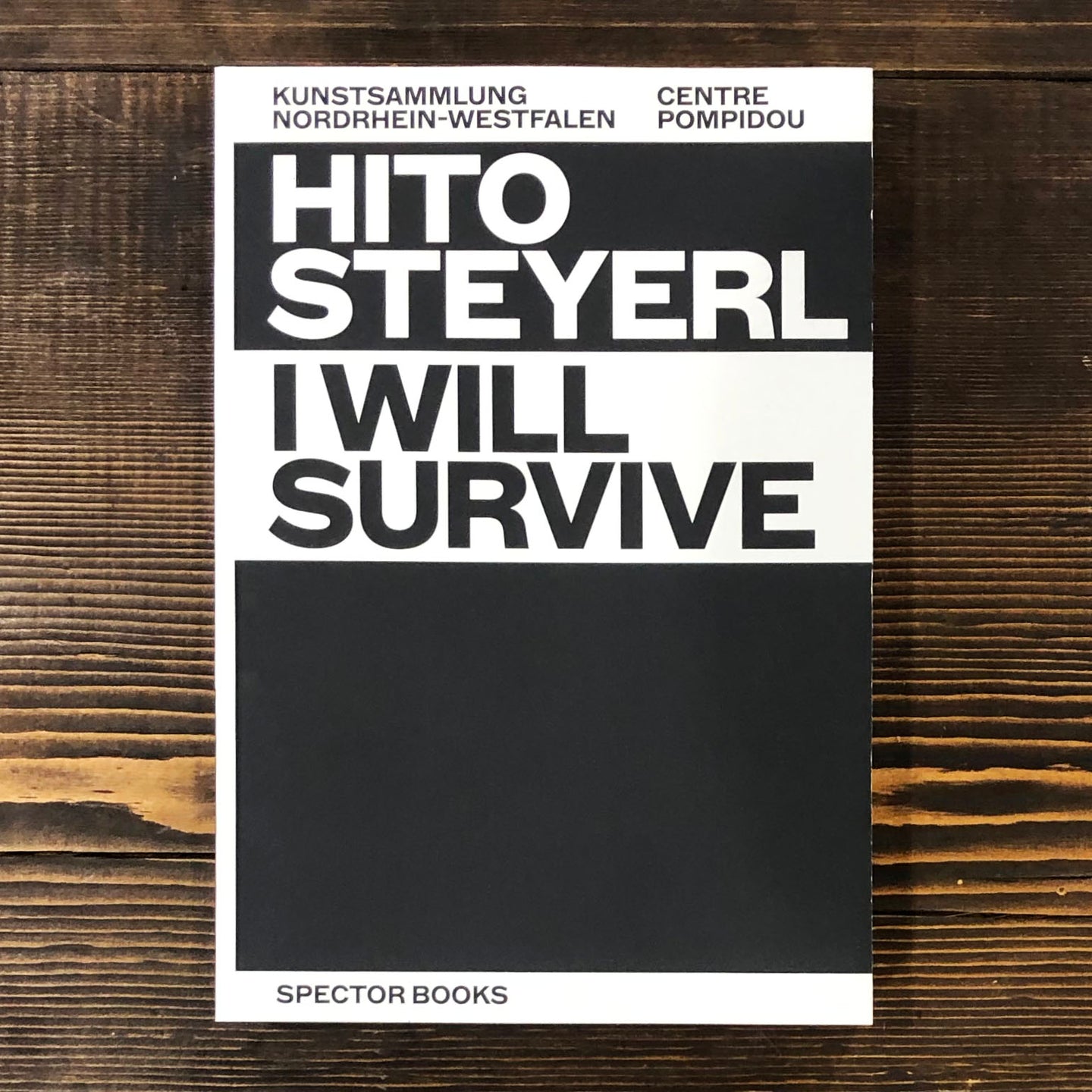 HITO STEYERL. I WILL SURVIVE - AA. VV.