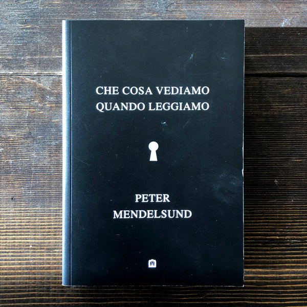 CHE COSA VEDIAMO QUANDO LEGGIAMO - PETER MENDELSUND