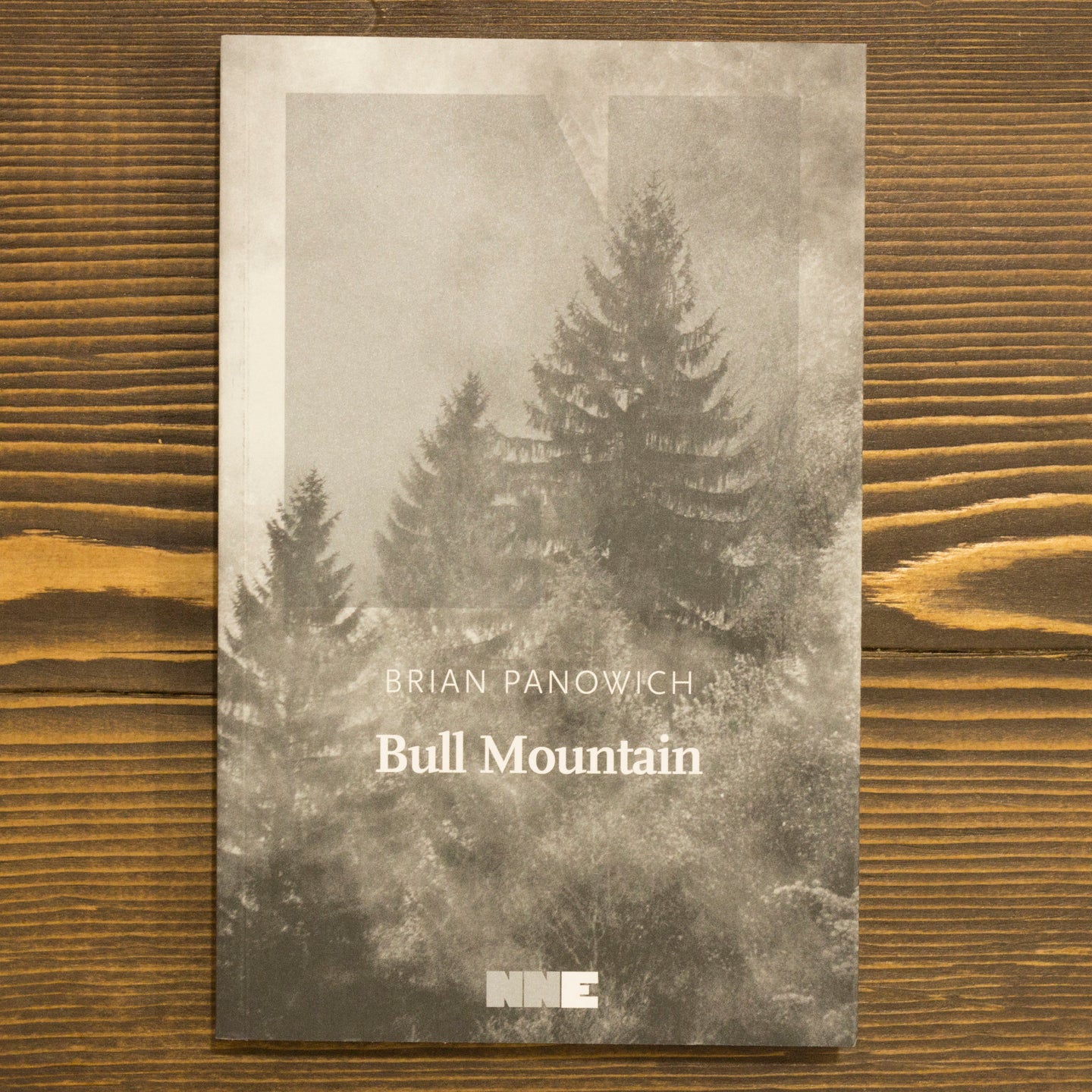 BULL MOUNTAIN - BRIAN PANOWICH